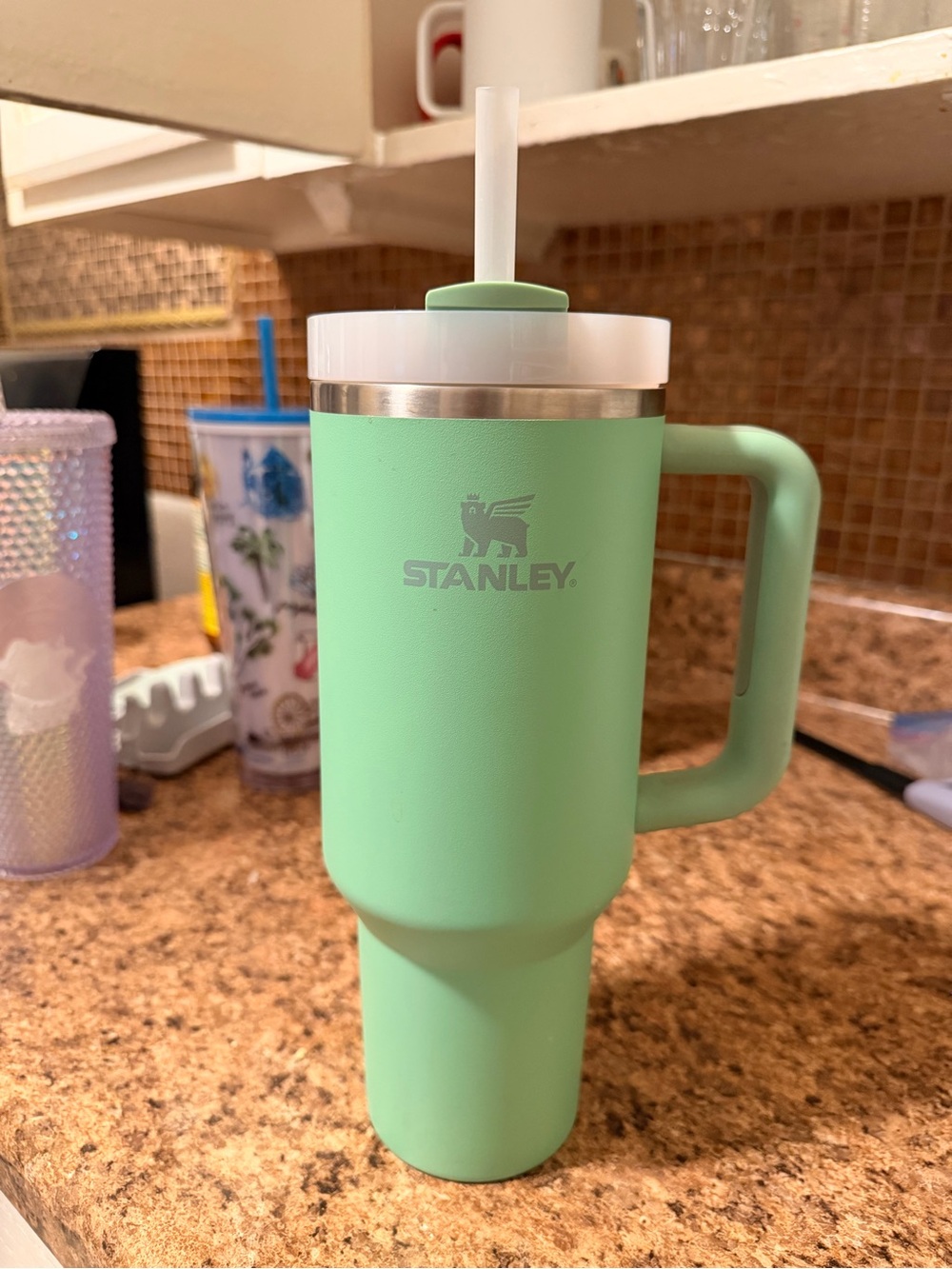 Stanley Mint Green Travel Mug with Handle and Straw Lid